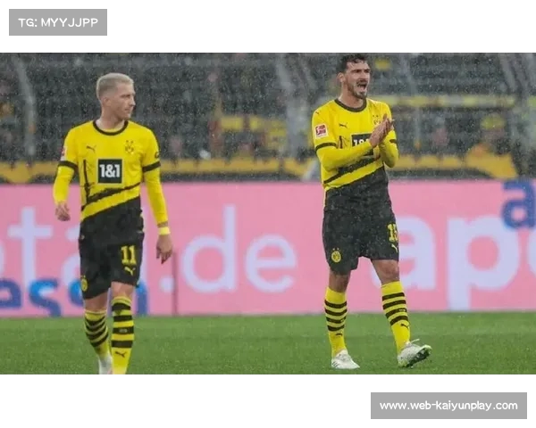 德国球迷愤怒胡梅尔斯落选欧洲杯大名单引发热议与争议