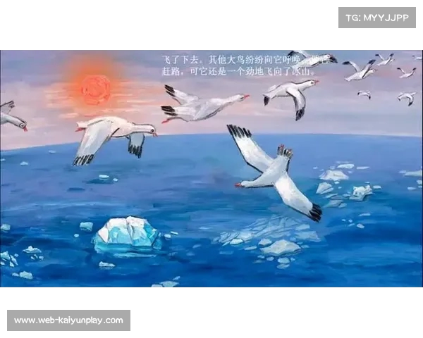 探讨贺希宁与普通而坚韧的慢鸟的故事与启示